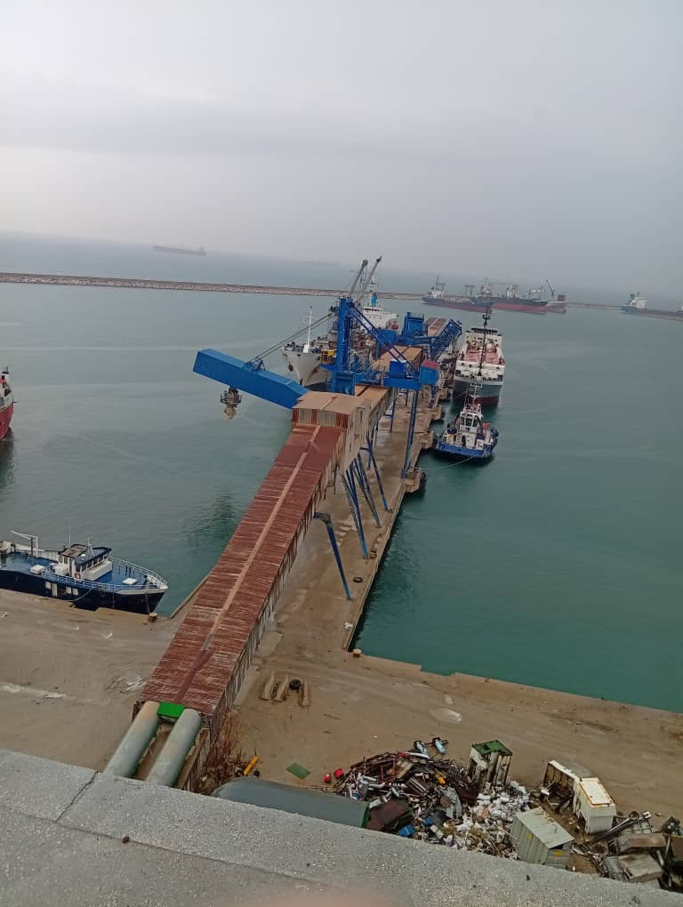 WhatsApp Image 2026-03-01 at 10.50.35 PM